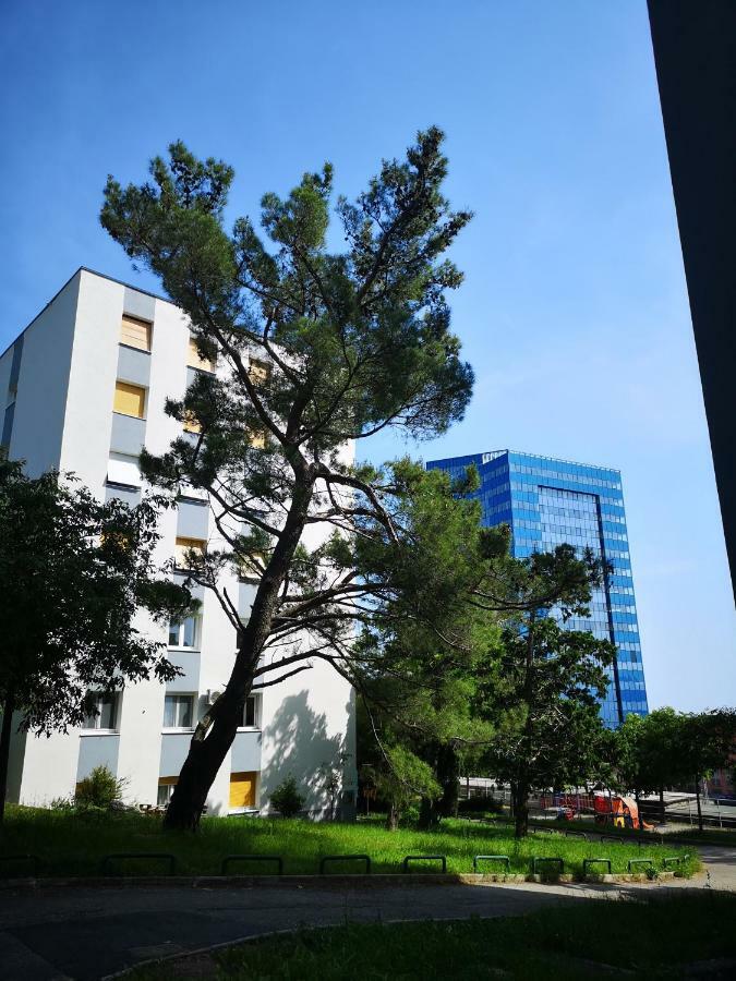 Apartment Gervais Rijeka Exteriör bild